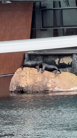 Deer graze in Wrocław zoo enclosure