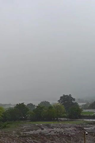 The video shows a landscape on a foggy or overcast day. In the foreground, there is a rocky, muddy area with some patches of green grass. Behind this, a line of trees separates the foreground from a body of water that appears to be a lake or a wide river. Further in the distance, obscured by fog, are some buildings or structures. The overall atmosphere is hazy and muted.