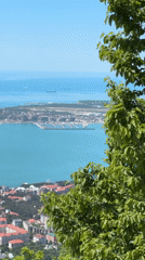 Tourist visits zoo and aquarium in coastal Gelendzhik