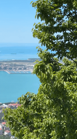 Tourist visits zoo and aquarium in coastal Gelendzhik