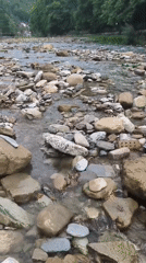 Sochi river captured from multiple angles, rocks to bridges