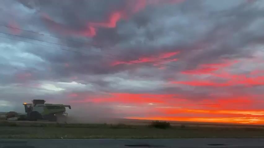 A combine harvester is shown operating in a field under a dramatic sky filled with clouds streaked with vibrant pink and orange hues, indicative of a sunset. A black car, blurred due to motion, passes by on a paved road in the foreground. The scene is set in a rural environment with a few trees dotting the landscape. Power lines are visible stretching across the sky. The overall impression is of a harvest in progress against a beautiful, fiery sunset.
