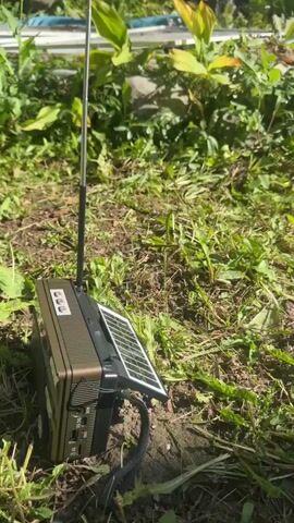 A portable radio is resting on the ground amidst grass and dirt. The radio is brown and has an extendable antenna. A solar panel is attached to the back of the radio. The scene is outdoors, with green foliage in the background and sunlight illuminating the radio. The camera slowly zooms in on the radio.