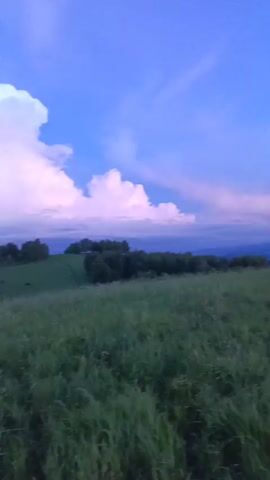 A drone's-eye view pans across a grassy field under a blue sky with fluffy white and pink clouds. In the distance, rolling green hills are dotted with trees. The overall impression is a serene, natural landscape.