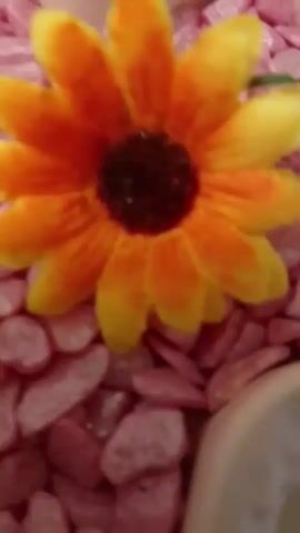 A close-up shot shows an artificial yellow and orange flower with a dark center, placed in the middle of a star-shaped white dish filled with small, tumbled pink stones. The dish appears to be sitting on a white surface. The camera slowly zooms out, revealing more of the star-shaped dish and the surrounding environment.