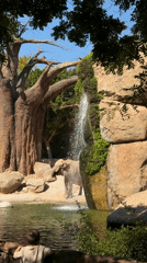 Morning wildlife viewing session documented at Valencia Bioparc