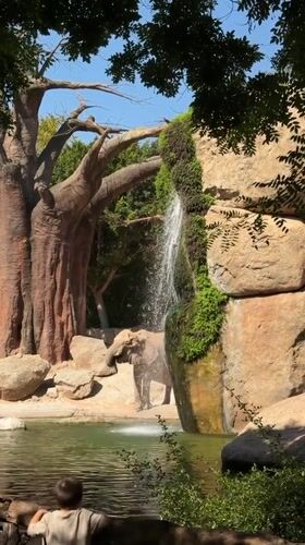 Morning wildlife viewing session documented at Valencia Bioparc
