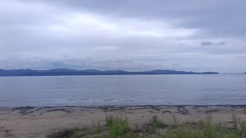 A wide shot of a calm, gray body of water under a cloudy sky. The water stretches to the horizon where it meets a dark, mountainous coastline. In the foreground, there is a sandy beach with some sparse green vegetation. The beach is marked with a line of seaweed or debris. The overall atmosphere is muted and overcast. There are no people or discernible objects on the beach or in the water. The scene appears to be natural and undeveloped.