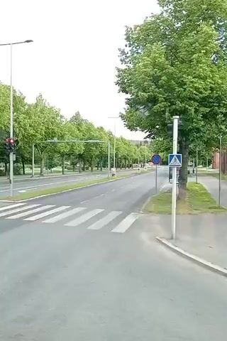 This is a video recording taken from a vehicle traveling on a city street lined with trees. The scene is a roadway with clear lane markings and pedestrian crosswalks. Traffic lights are visible, with some showing red and others green, indicating the vehicle is approaching or passing through intersections. There are also various road signs, including pedestrian crossing signs and directional signs. The setting appears to be a well-maintained urban environment with lush green trees lining the sides of the road. The sky is overcast with some clouds. The time of day seems to be daytime, likely morning or afternoon, given the ambient light. No people are clearly visible in the video, but there are parked cars visible in the distance behind some of the trees. The overall impression is a calm, everyday commute through a pleasant, tree-lined city. The location context provided is Kuopio, Finland.