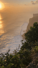 Macaque monkey filmed on ocean cliffs during Kuta Selatan sunset