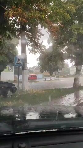 The video shows a view from inside a vehicle looking out through a rain-streaked windshield. The scene outside is a residential street during a downpour. Trees with green and some brown leaves line the street, and their branches are swaying. Raindrops are visible hitting the windshield, creating blurred streaks and droplets that obscure the view. In the middle ground, there is a pedestrian crossing sign with a blue background and a white silhouette of a person walking. A red vehicle is parked or driving in the distance. The road surface appears wet and reflects the overcast sky. The windshield wipers are also visible and appear to be in motion, attempting to clear the rain. The overall atmosphere is gloomy due to the heavy rain and overcast conditions.