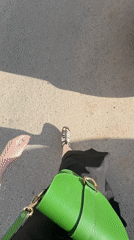 Everyday life documented in Izhevsk during sunny afternoon