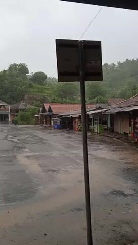 The video shows a rainy day. The camera seems to be inside a vehicle moving past a rural town. There are some buildings and trees in the background, and the ground is wet. There's a signpost near the beginning of the video, and towards the end, there are some trees and a sign with text that isn't legible due to the distance and motion.