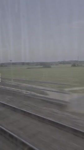 Here is a detailed description of the video:

The video shows a view from the window of a moving train. The perspective is sideways, focusing on the passing landscape. Outside, there are green fields and patches of trees extending towards the horizon under a grey sky. Power lines and electrical pylons are sparsely distributed in the distance. The railroad tracks are visible in the foreground, showing motion blur due to the train's speed. The overall tone of the scene is muted and overcast.