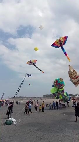 The video shows a beach with many people and kites flying in the sky. The kites are of various shapes and sizes, including a dragonfly, a dragon, and other mythical creatures. The beach appears to be crowded with people watching the kites. The sky is cloudy, but the sun is visible. The sand on the beach is dark in color. Some people are walking on the beach, while others are sitting and watching the kites. The overall atmosphere seems festive and lively.
