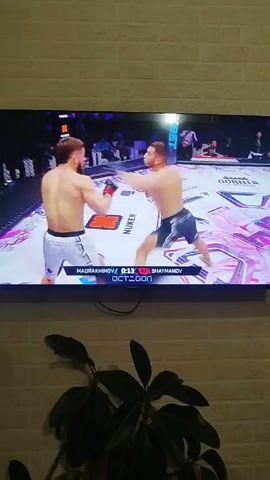 A camera captures a television screen displaying a mixed martial arts (MMA) match. Two shirtless male fighters are in a ring, denoted by a black border and brightly-colored floor graphics. The fighters are facing each other, sparring, when one connects a blow. The fighter receiving the blow falls backwards. The fallen fighter lies on the floor as the referee approaches. A plant in a pot is in the foreground of the camera's view, with a brick patterned wall behind the television.