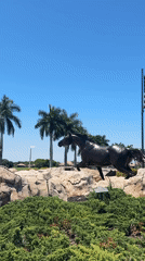 Visitor documents bronze horse sculptures at Florida resort