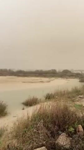 Here's a description of the video:

The video shows a flat, sandy landscape with a river running through it. The water is murky. The sky is overcast with a yellowish haze, suggesting a sandstorm or heavy dust in the air.  Tall grasses are visible on the riverbank in the foreground. As the camera pans from left to right, a stone bridge with arches is revealed spanning the river. The distant skyline is indistinct due to the hazy conditions.  The overall atmosphere is bleak and dusty.