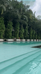 Resort pool filmed in early morning Ubud, Indonesia