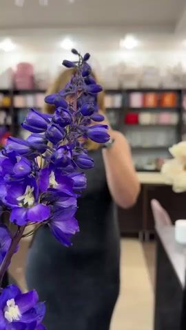 This media file shows a close-up of a tall, purple Delphinium flower in the foreground. The flower stalk is laden with numerous buds and blooms, showcasing vibrant shades of blue and purple with white accents at the center of some flowers. The background is softly blurred, revealing a woman in a black dress who appears to be holding up a phone, possibly taking a picture or video. She has shoulder-length blonde hair and is looking towards the flower.

The setting appears to be a well-lit interior, likely a flower shop or a similar establishment, with shelves filled with various items, possibly flower supplies or finished arrangements, visible in the background. The lighting suggests it could be daytime, but no specific time can be determined. The woman's posture and focus on the flower suggest an interest or appreciation for the bloom. The overall mood is calm and focused on the beauty of the flower. No visible text is present in the media file.