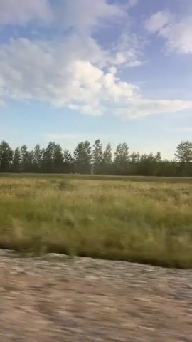 This is a landscape video with a focus on a natural scene. The subjects include a grassy field, a line of trees in the distance, and a cloudy blue sky. The video appears to be shot from a moving vehicle, as evidenced by the motion blur in the foreground, which shows a gravelly surface, and the way the trees and field streak horizontally.

The setting is a rural or natural area, likely a field adjacent to a wooded area. The time of day appears to be daytime, with ample light illuminating the scene. The weather is partly cloudy, with puffy white clouds scattered across a bright blue sky, suggesting fair weather. There are no people or man-made objects prominently featured, emphasizing the natural landscape. The overall mood is serene and peaceful, typical of a scenic drive through the countryside. There is no visible text in the media.
