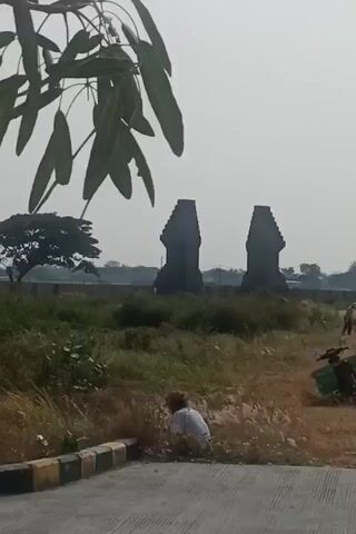 A person, wearing a white shirt and shorts, is crouching in tall grass, gathering what appears to be vegetation. They then stand up and walk away, carrying the gathered vegetation. In the background, there are two large, dark, stone structures with a tiered, pyramid-like shape. A tree with a wide canopy stands between them. The environment appears to be an open, grassy field with a paved border in the foreground. The sky is overcast and pale.