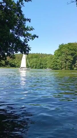 The video shows a body of water with a sailboat in the distance. The water is choppy and reflects the blue sky. Trees line the shore in the background. A dark object, possibly a dock or the edge of the land, is in the foreground. The sailboat has a white sail and appears to be moving. The sun is shining, and the sky is clear. The overall scene is peaceful and serene, depicting a day spent on the water.