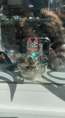 Lucky cat display, resting dog captured in Tbilisi street scenes