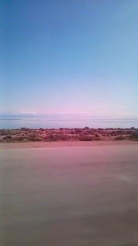 The video shows a landscape viewed from a moving vehicle. The foreground features a blurred asphalt road with a white line on the right side, indicating movement from left to right. The middle ground displays a strip of dry, reddish-brown earth covered with sparse, low-lying vegetation, predominantly scrub brush. Beyond this vegetation lies a body of water, appearing as a calm, reflective surface, likely a lake or ocean, with a distant shoreline visible on the other side. The sky is a clear, bright blue, transitioning to a pale pinkish hue near the horizon, suggesting either sunrise or sunset. A tall, dark, slender structure, possibly a transmission tower, is visible in the distance, rising above the vegetation and near the horizon line. The overall impression is one of travel through a semi-arid or coastal environment under a serene sky.