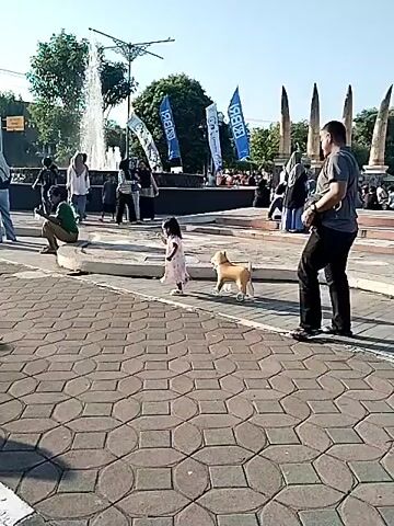 The scene depicts an outdoor public square or park under bright daylight. The ground is paved with geometric interlocking blocks. In the mid-ground, a young girl in a pink dress walks towards the right, trailing a small, tan, short-legged dog. To their right, an adult male in a grey t-shirt and dark pants walks in the same direction, carrying a dark shoulder bag. To the left of the girl, a dark green trash can is present. Behind the trash can, an individual in a dark hoodie and light pants is leaning over a blue and black bicycle. In the background, a multi-tiered fountain actively sprays water within a circular basin. Numerous people are gathered around the fountain, some standing, some seated. Several blue flags with white text are positioned around the fountain area. A bicycle is partially visible in the lower-left foreground. The sky is clear and blue.