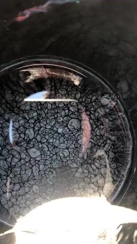 A close-up, overhead shot focuses on the surface of a dark liquid within a round container. The liquid has a mottled, textured appearance, resembling a cracked surface or a microscopic view of cells. A bright light source illuminates the scene from the bottom, creating a glare and reflections on the surface. There is a pinkish hue visible in the liquid, possibly a reflection or dissolved substance. The edges of the container are visible, and the overall environment appears dark. No people or other objects are clearly discernible. The footage shows subtle movements and shifts in the liquid's surface, suggesting gentle agitation or natural convection.
