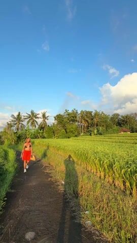 The video shows a sunny landscape in what appears to be Southeast Asia. The foreground is filled with green rice paddies, extending in terraced layers. In the initial shot, a woman in red shorts and a black top walks along a dirt path beside the paddies. Her shadow is clearly visible. The video then shifts to focus on the rice paddies and the path, with a clear blue sky and scattered clouds above. The sun is partially obscured by the clouds, creating a golden glow. Later, a man wearing a black tank top and a baseball cap turns to face the camera. He has earbuds in his ears and is standing on the path, overlooking the rice paddies. The setting appears peaceful and rural.
