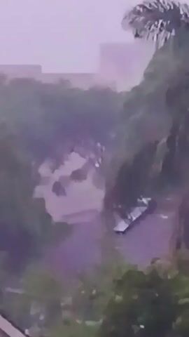 The video depicts an exterior scene during heavy rain. A light-colored road or pathway is visible amidst lush green trees and foliage. In the distance, the blurry outline of a building is observed. The overall atmosphere suggests a stormy or overcast day.