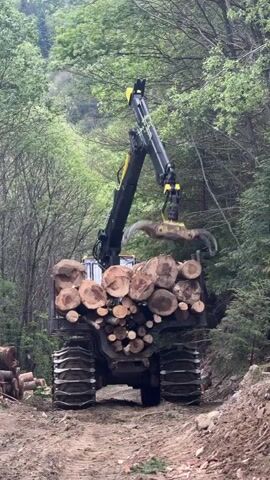 The video shows a forestry tractor with a mechanical arm unloading logs in a wooded area. The tractor, equipped with heavy-duty tracks, is already partially loaded with logs. A mechanical arm with a grapple attachment picks up individual logs from the tractor bed. The arm then maneuvers the logs and deposits them onto a large pile of logs to the left of the tractor. The setting is a forest clearing with trees visible in the background. The ground is earthy and muddy.