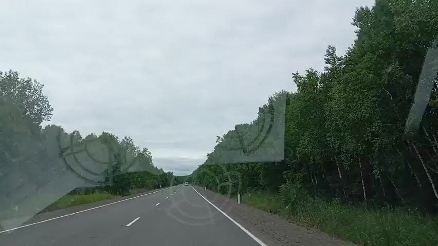 A first-person perspective video shows a paved road with a white dashed line down the center, traveling through a dense forest on a cloudy day. The road is empty except for a distant white car. The camera appears to be mounted inside a vehicle, with the dashboard visible at the bottom of the frame and reflections on the windshield. The trees on either side of the road are green and lush.