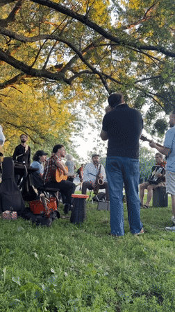 Outdoor musical session under a tree in Montreal