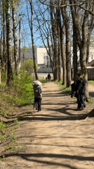 People walk through sunny wooded path in Russia