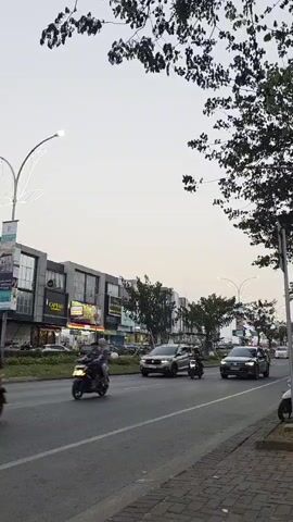 A vertical video captures a street scene. In the foreground, a paved sidewalk runs alongside a road. Trees with dark leaves overhang the top of the frame. On the left side of the road, a row of multi-story buildings with storefronts lines the street. Various vehicles, including cars and a motorcycle, are visible on the road. The sky is a pale, hazy color, suggesting it might be dawn or dusk.