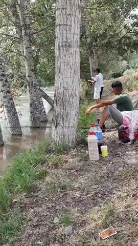 The video depicts a natural scene by a river in Ноошкен, Kyrgyzstan. The primary subjects are two young men, one seated on the ground and the other standing further back, seemingly engaged in fishing. The seated individual is casually dressed in a green t-shirt and grey pants, resting near several plastic bottles and a yellow cup, suggesting provisions for their activity. The standing figure is in a white shirt and shorts, holding a fishing rod.

The setting is a riverside with tall trees, likely poplars, their trunks marked with white paint at the base, lining the bank. The river itself appears to be moderately flowing, with some areas of shallow water near the bank where tree roots are visible. The surrounding vegetation is lush green grass and foliage. The overall atmosphere suggests a peaceful, outdoor recreational activity, likely fishing, taking place during daylight hours. The weather appears to be fair. The scene is serene, with the natural environment taking center stage. No visible text is present in the video.