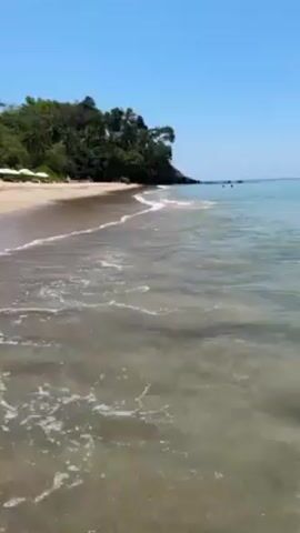 The video shows a tranquil beach scene on a sunny day. The clear, shallow water gently laps against the sandy shore. The beach is lined with lush green vegetation, including trees and palms. Several white umbrellas are visible along the beach, suggesting a resort or relaxing area. A few people are seen in the distance, either swimming or standing in the water. The sky is a clear, bright blue. The overall impression is one of serenity and natural beauty.