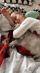 Boy cuddles with grey cat on themed bedding in Cheboksary
