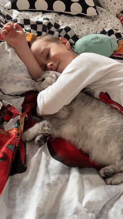 Boy cuddles with grey cat on themed bedding in Cheboksary