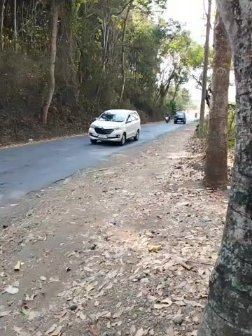 A white SUV is driving on a paved road through a wooded area. A person on a motorcycle is approaching the SUV from the opposite direction. The road is flanked by trees and vegetation. The ground on the side of the road is dirt and covered with fallen leaves. There is a second, smaller vehicle visible in the distance behind the motorcycle.