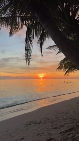 The video shows a sunset over a calm ocean, framed by palm trees on the left side. The sky is a mix of orange, pink, and light blue with wispy clouds. The sun is low on the horizon, partially obscured by a small cloud. The ocean reflects the orange glow of the sunset. The beach is sandy and the waves are small and gentle. There are a few dark buoys visible in the water and some people swimming in the distance.