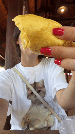 Durian snacking and scooter maintenance in Mũi Né