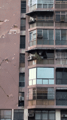 Residential towers line a marked street in Maracay, Venezuela