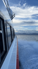 White boat creates wake near Jungutbatu, Indonesia