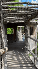 Morning visit to adventure park features walkways, child with parrots