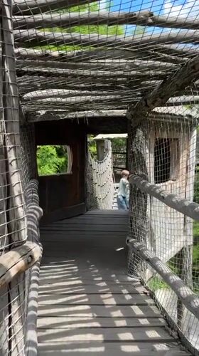 Morning visit to adventure park features walkways, child with parrots