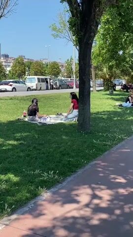 A high-angle, right-to-left panoramic video shows a sunny park scene. A path is on the right, and green grass with trees is on the left. Two young women are sitting on a white blanket under a tree. One woman in a black shirt faces right, and the other in a red top and light pants faces left. Other people are scattered throughout the park, some sitting, some standing, and some walking. A white van and other cars are visible in the background, parked on a street.